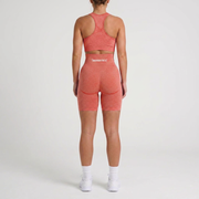360° Seamless Shorts